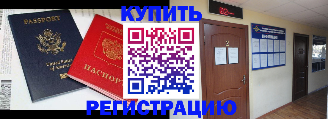 прописка 2025 в Ельне