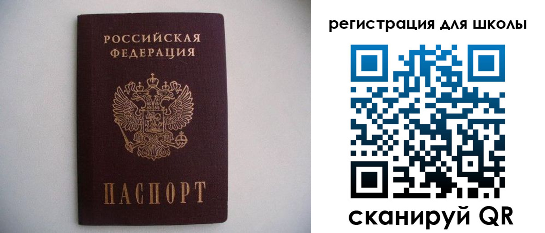 прописка поиск в Ельне