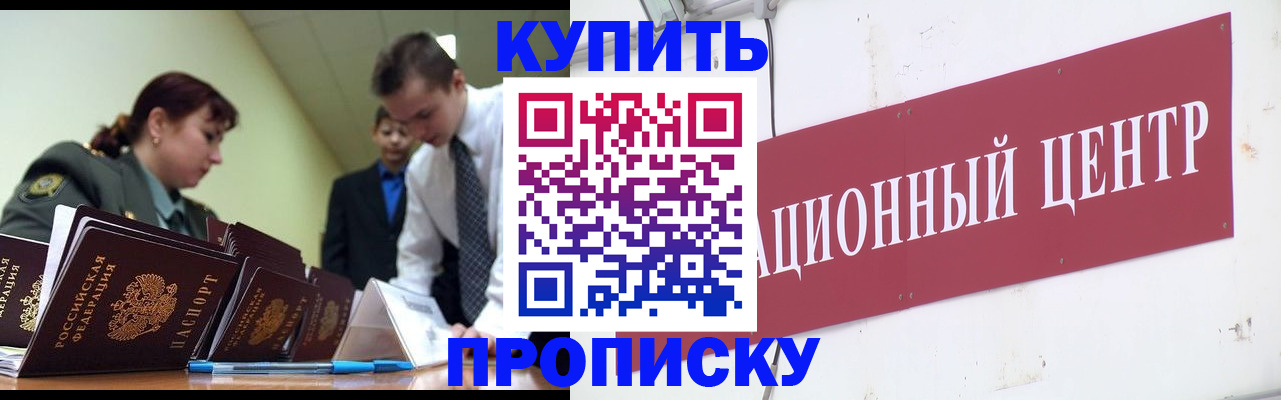 прописка поиск в Ельне